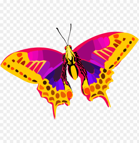 this free icons design of abstract colorful butterfly PNG with Isolated Object