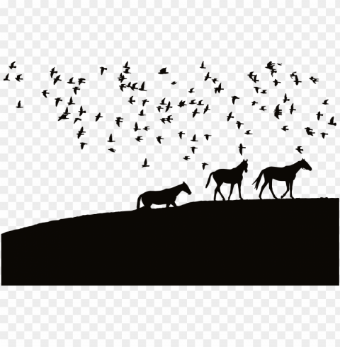 this free icons design of birds and horses silhouette PNG transparent photos assortment