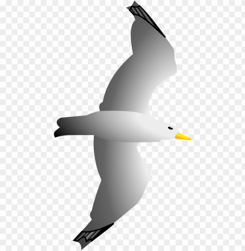 this icons design of seagull remix Free PNG transparent images