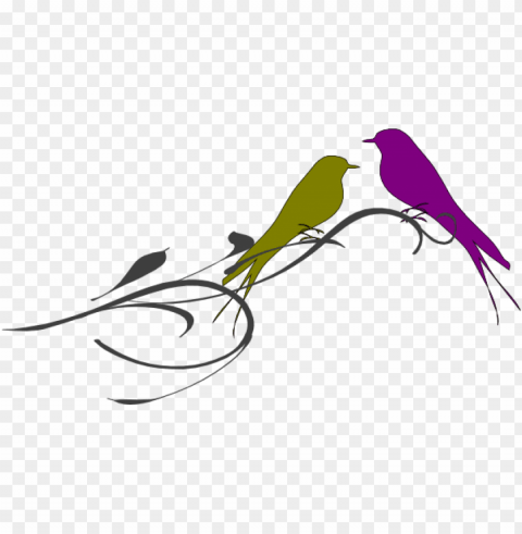 this freedesign of love birds on a branch PNG graphics with clear alpha channel