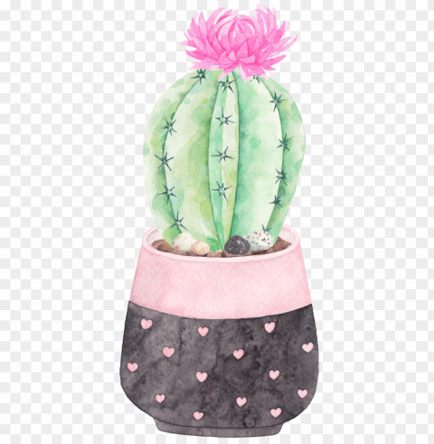 this graphics is a flowering cactus - cactus Transparent Background PNG Isolated Icon