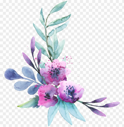 this graphics is can purple flower transparent decorative - portable network graphics Free PNG images with alpha transparency comprehensive compilation
