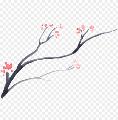this graphics is dead wood bloom flower - flower Isolated Item in HighQuality Transparent PNG