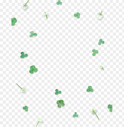 this graphics is green cute four leaf clover floating - poster Isolated Subject on Clear Background PNG