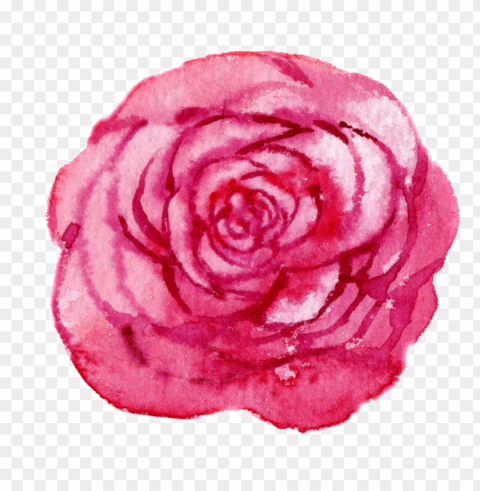 this graphics is hand drawn a rose flower transparent - portable network graphics PNG files with no backdrop required