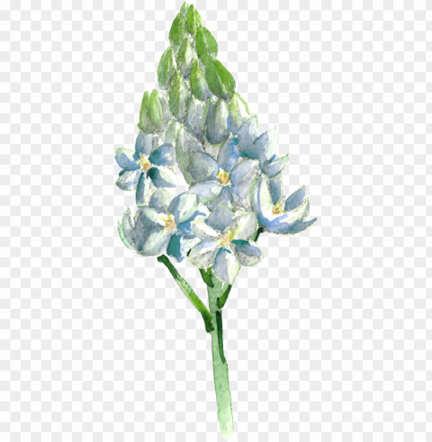 this graphics is hand painted blue flowers transparent - portable network graphics PNG with clear transparency