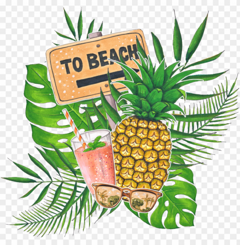 this graphics is hand painted tropical fruit drink - caroline's treasures to the beach summer flag canvas Transparent Background PNG Isolation