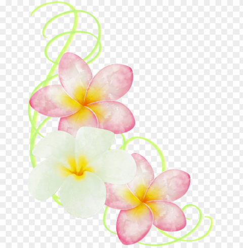 this graphics is hand painted two colors of egg flower - portable network graphics Free PNG images with transparent background