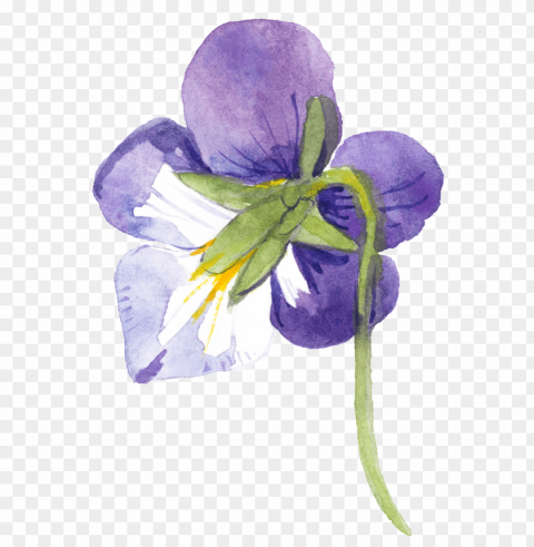 this graphics is purple hand painted small flower watercolor - watercolor painti PNG Image with Isolated Artwork