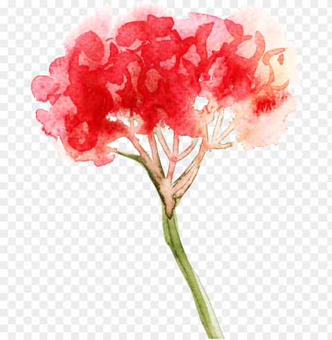 this graphics is red light bouquet cartoon transparent - portable network graphics ClearCut Background PNG Isolated Item