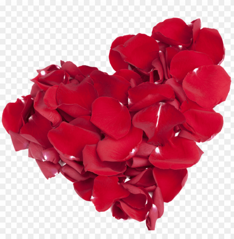 this graphics is rose petals red love about - corazon petalos de rosa Transparent PNG Isolated Design Element