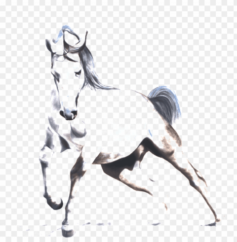 this graphics is watercolor running horse pattern elements - watercolor painti PNG transparent pictures for editing
