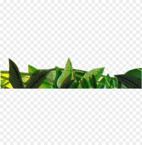 this has created a core of dedicated and knowledgeable - plantatio ClearCut Background PNG Isolated Subject
