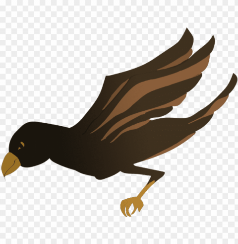 this is the falcon - kite PNG images with high transparency