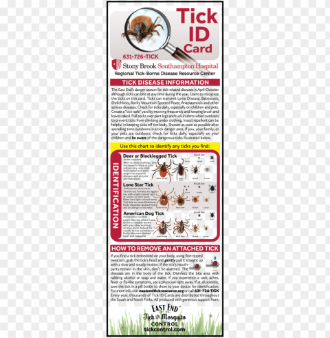 tick types on long island - deer tick PNG Image with Transparent Isolated Graphic Element