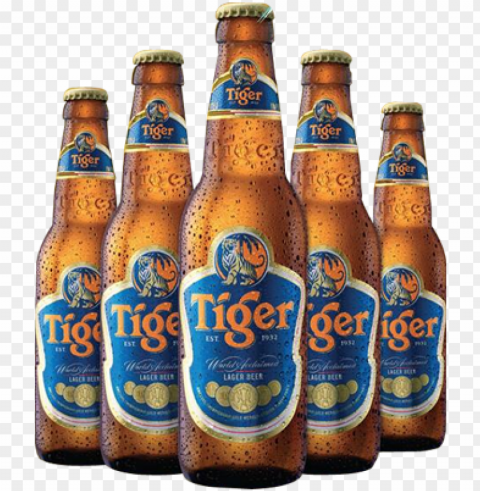 tiger beer bucket - tiger beer 24x 330ml bottles PNG format