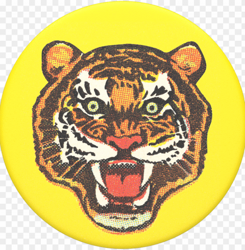 tiger bites back - print pop ink - csa images' tiger 12x12in Transparent Background Isolated PNG Art