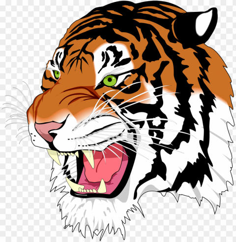tiger clipart logo frames illustrations hd images - svg tiger PNG transparent graphics bundle