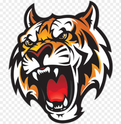 tiger head - fleetwood high school mascot Transparent background PNG photos