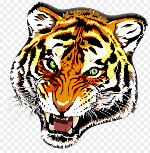 tiger tattoo colour PNG with clear background extensive compilation