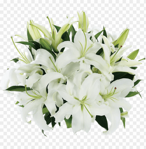 tight bouquet of lilies - fresh lily flowers PNG for use