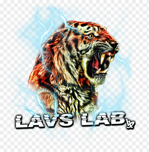 tj lavin's llp tiger - tiger roar fangs animal wild cat nature huge 47x35 HighResolution Transparent PNG Isolated Item