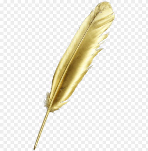 to discuss your needs please get in touch or call - gold feather pe PNG Image with Transparent Isolation PNG transparent with Clear Background ID ff9077cc
