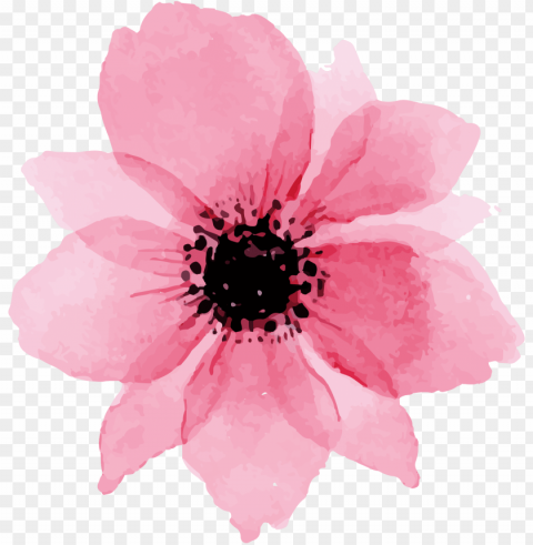 to download click the following - watercolor floral elements Transparent PNG images extensive gallery