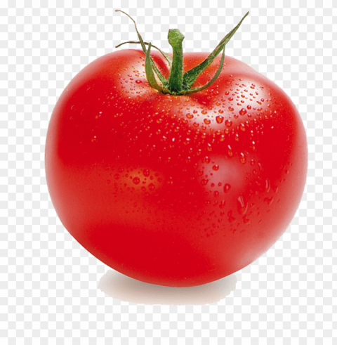 tomato PNG Image with Transparent Isolated Graphic Element