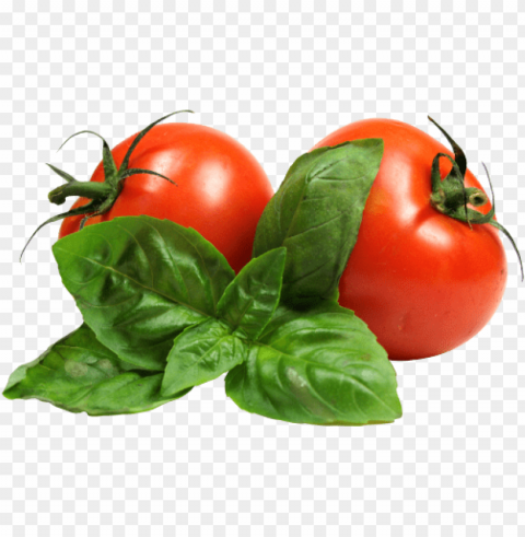 tomato PNG Image with Transparent Isolation