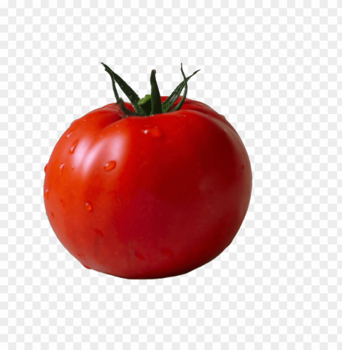 tomato PNG images for advertising