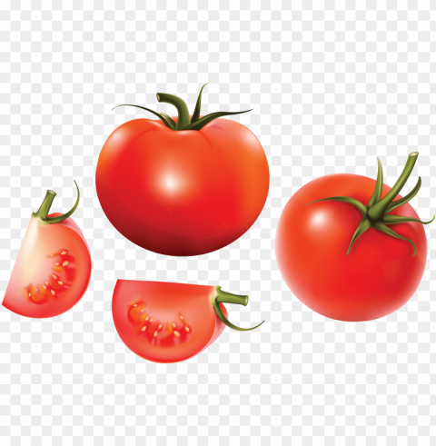 tomato PNG images for graphic design images Background - image ID is ef24dd24