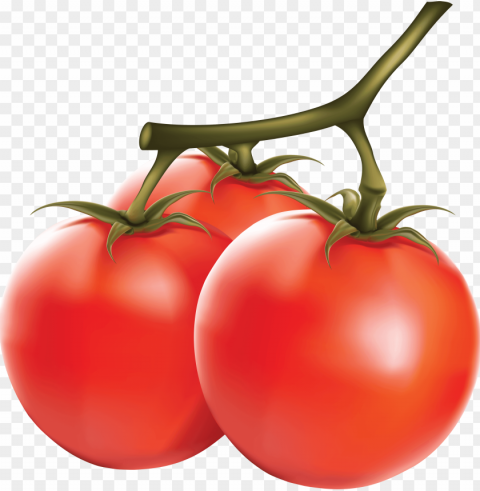 Tomato PNG Images For Personal Projects