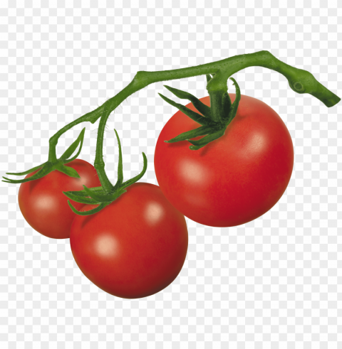 tomato PNG images for printing