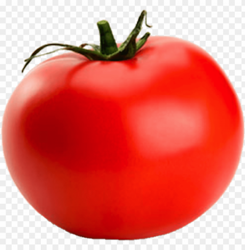 Tomato PNG Images For Websites
