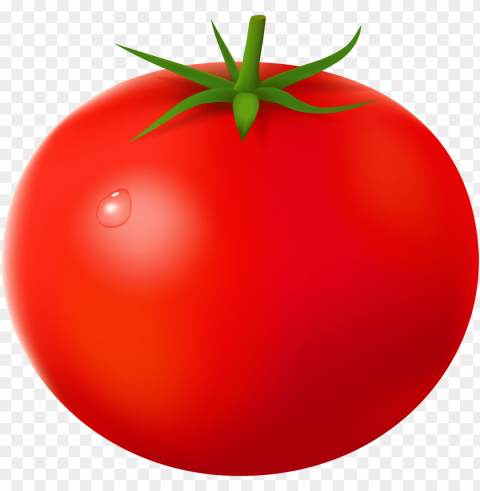 tomato PNG images no background