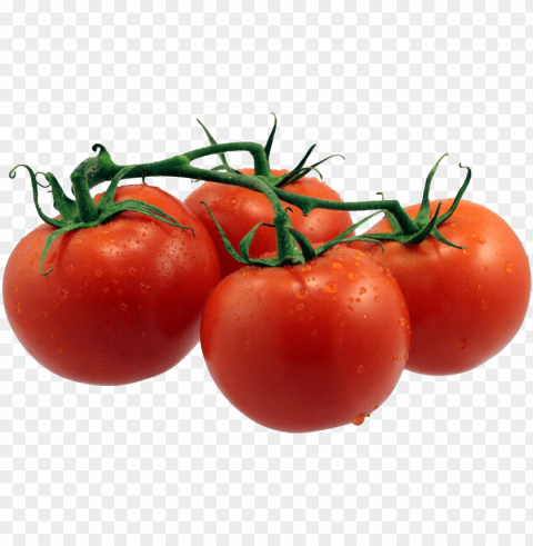 tomato PNG images transparent pack