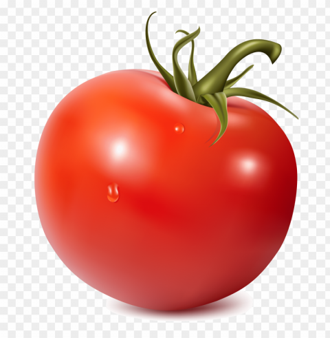 tomato PNG images with alpha transparency diverse set