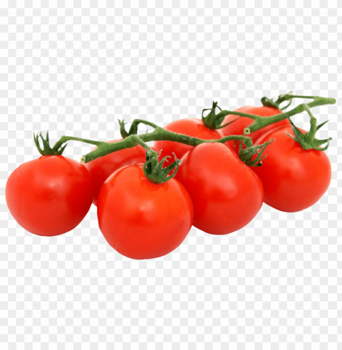 tomato PNG images with alpha transparency free
