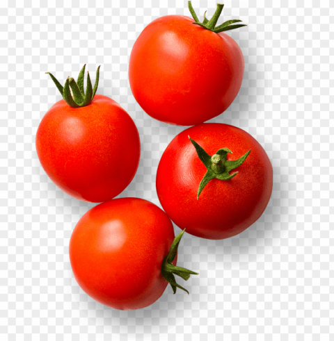 tomato PNG images with alpha transparency wide selection