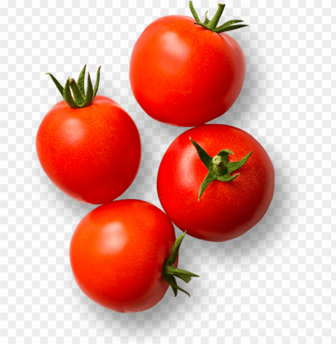 Tomato PNG Images With Alpha Transparency Wide Selection