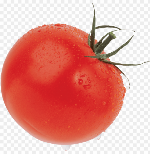 tomato PNG images with clear alpha channel