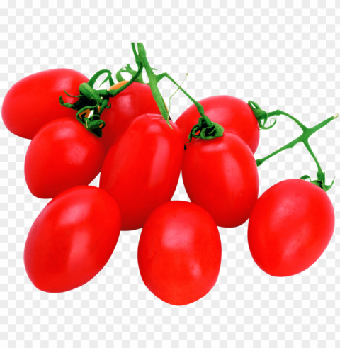 tomato PNG images with clear alpha layer