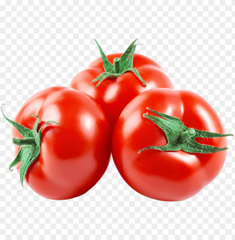 tomato - roma tomato Free PNG images with transparent layers diverse compilation