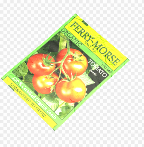 tomato seeds - tomato PNG files with no backdrop wide compilation
