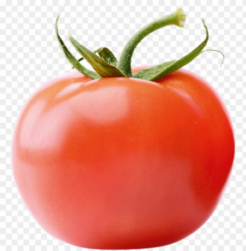 tomatoes - tomato Isolated Graphic on HighQuality PNG
