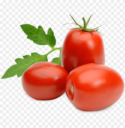tomatoes - tomato roma PNG files with no background assortment