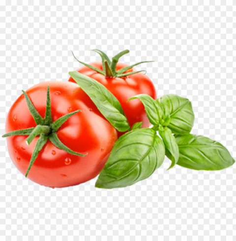 tomatoes tomatoes - chrysal tomaten & kräuter langzeitdünger faltschachtel Isolated Design Element on Transparent PNG