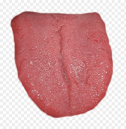 tongue PNG transparent elements complete package PNG transparent with Clear Background ID b5590460