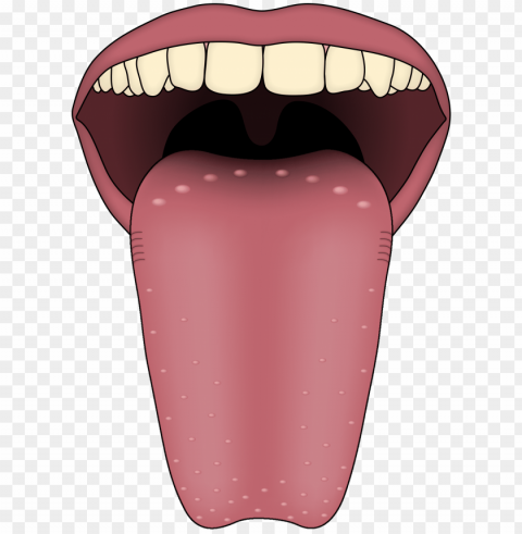 tongue PNG transparent graphics bundle